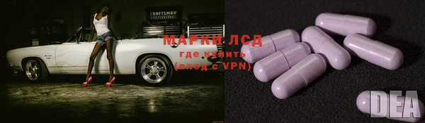 a pvp Аркадак