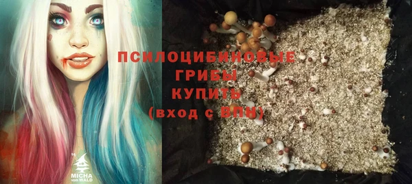 a pvp Аркадак