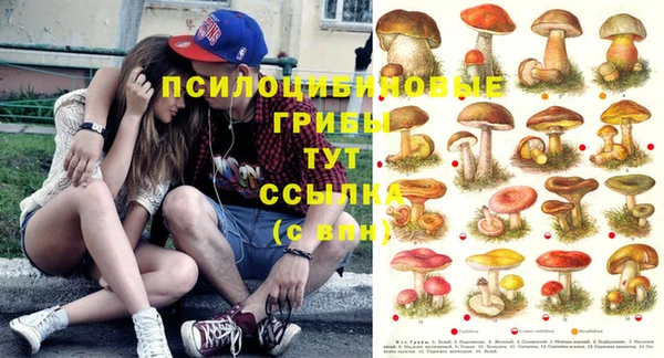 мдпв Арсеньев